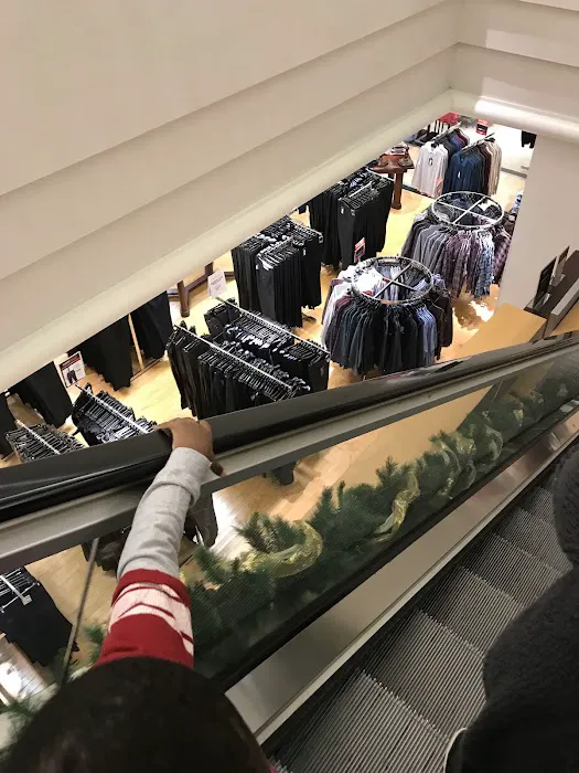 Dillard's 0