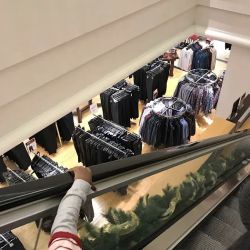 Dillard's ico