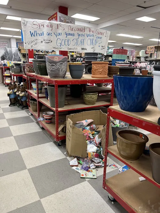 Ollie's Bargain Outlet 7