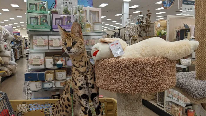 T.J. Maxx 2