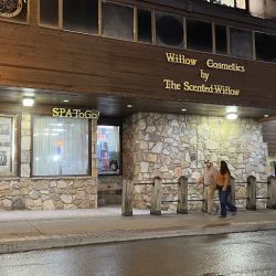 The Scented Willow LLC ie. Willow Cosmetics ico