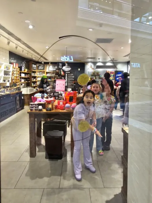 Lush Cosmetics Westfarms Mall 6