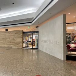 Anthropologie ico