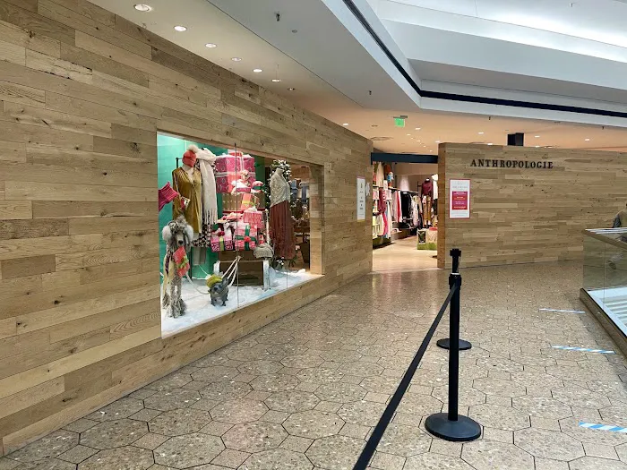 Anthropologie 1