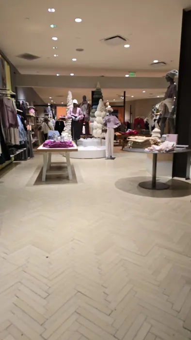Anthropologie 5