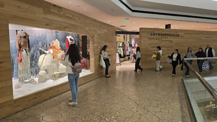 Anthropologie 8