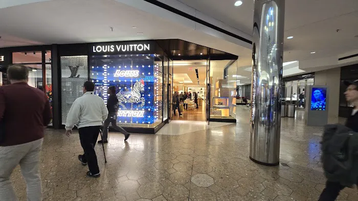 Louis Vuitton Farmington Westfarms 4