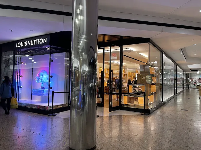 Louis Vuitton Farmington Westfarms 6