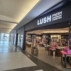 Lush Cosmetics Roosevelt Field ico
