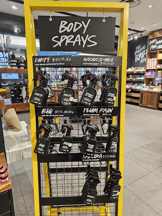 Lush Cosmetics Roosevelt Field 8