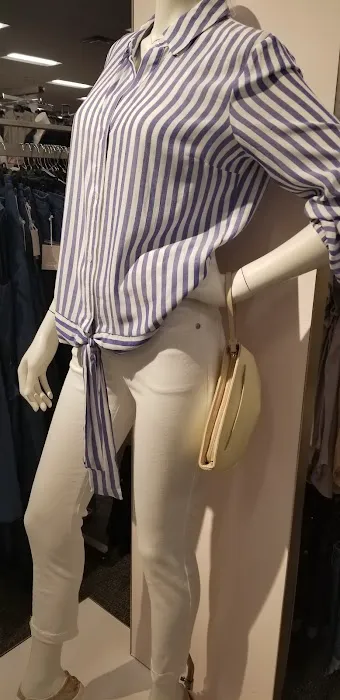 Kohl's 8