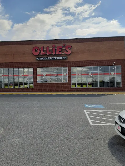 Ollie's Bargain Outlet 6