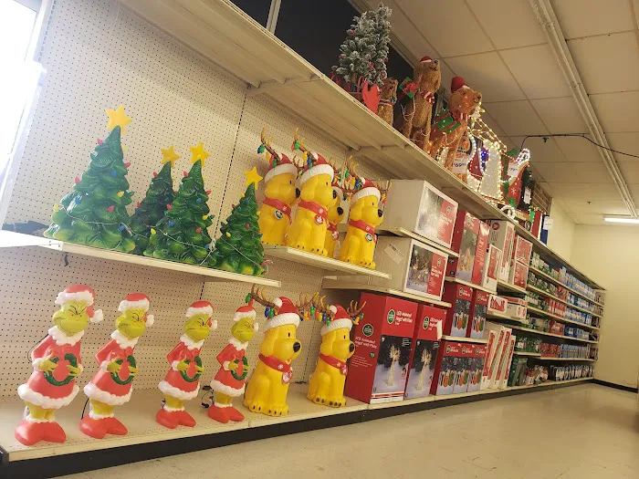 Big Lots 1