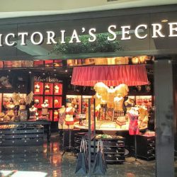 Victoria's Secret & PINK by Victoria's Secret ico