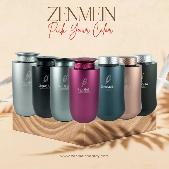 ZenMeIn 1