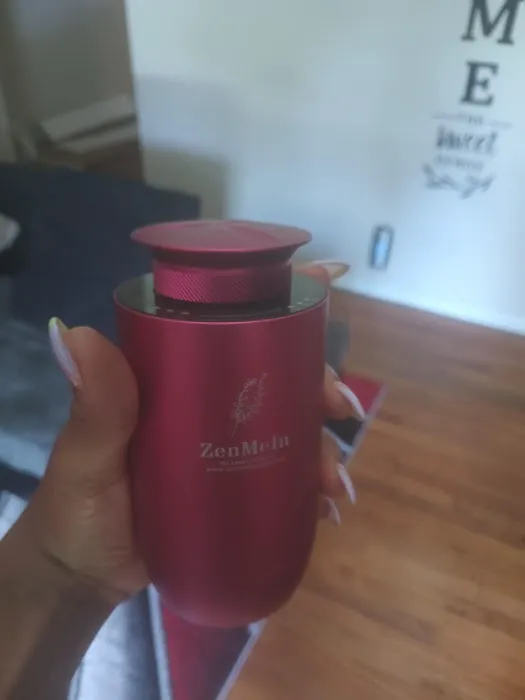 ZenMeIn 4