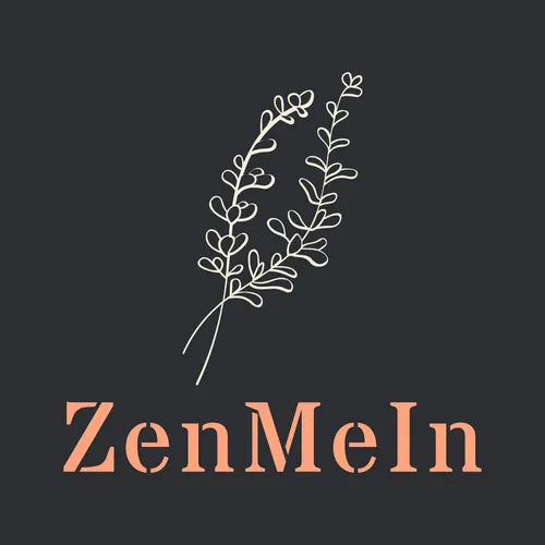ZenMeIn 6