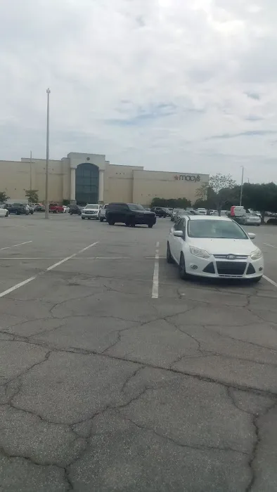 Macy's 7