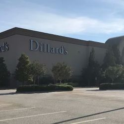 Dillard's ico