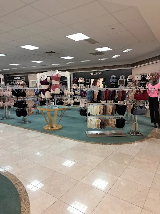 Dillard's 7