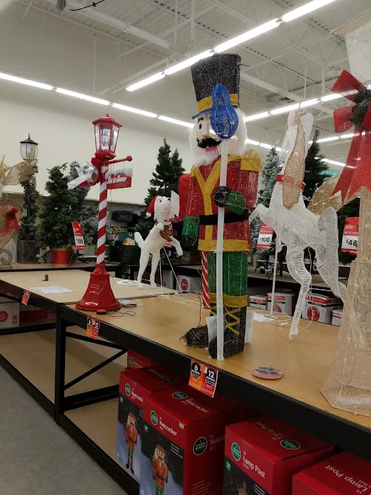 Big Lots 8