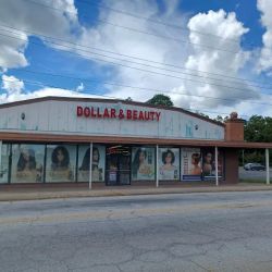 Dollar & Beauty ico