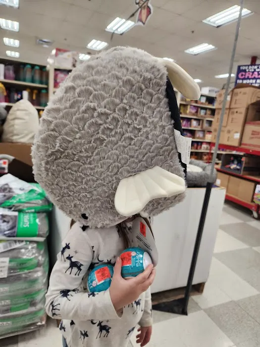 Ollie's Bargain Outlet 1