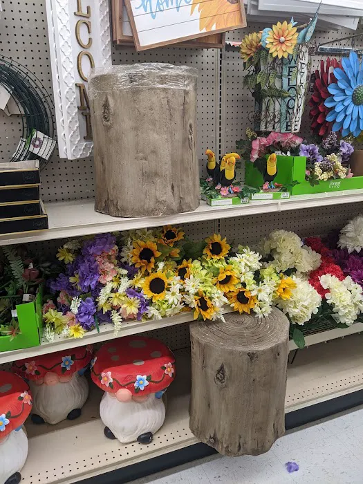 Big Lots 2