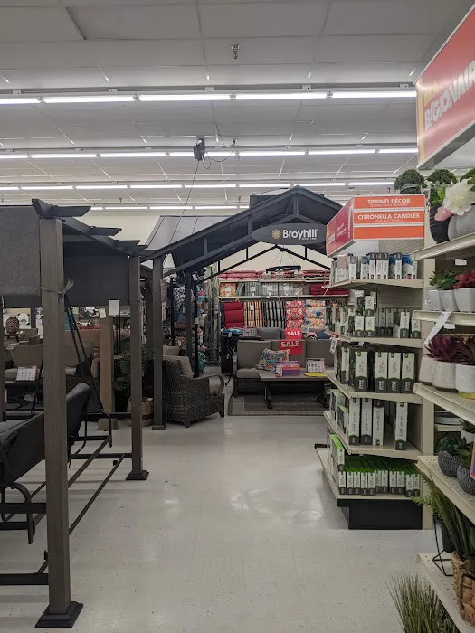Big Lots 7