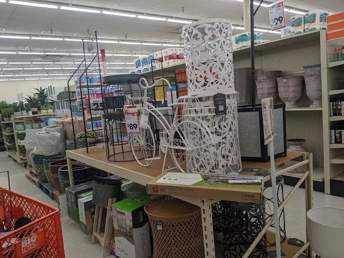 Big Lots 8