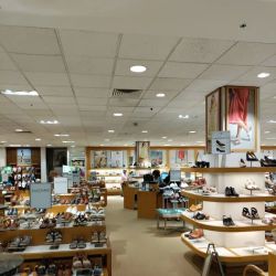 Dillard's ico