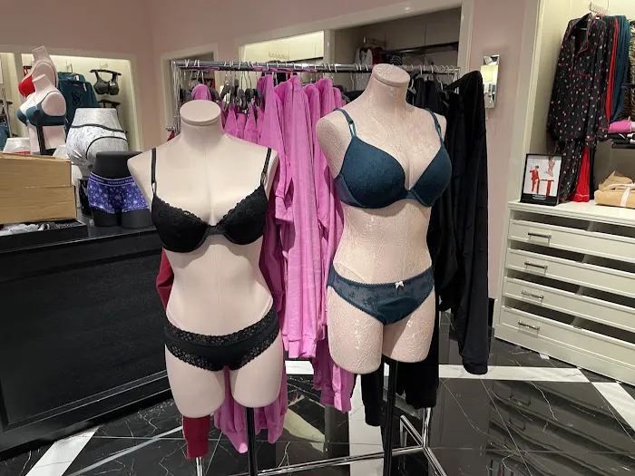 Victoria's Secret & PINK by Victoria's Secret 1