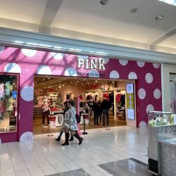 Victoria's Secret & PINK by Victoria's Secret ico
