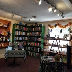 Asheville Raven and Crone ico