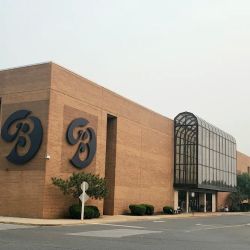 Boscov's ico