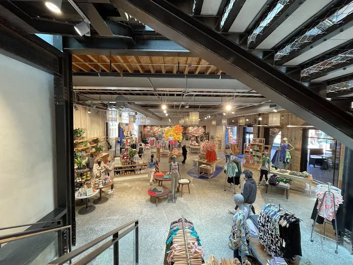 Anthropologie 1