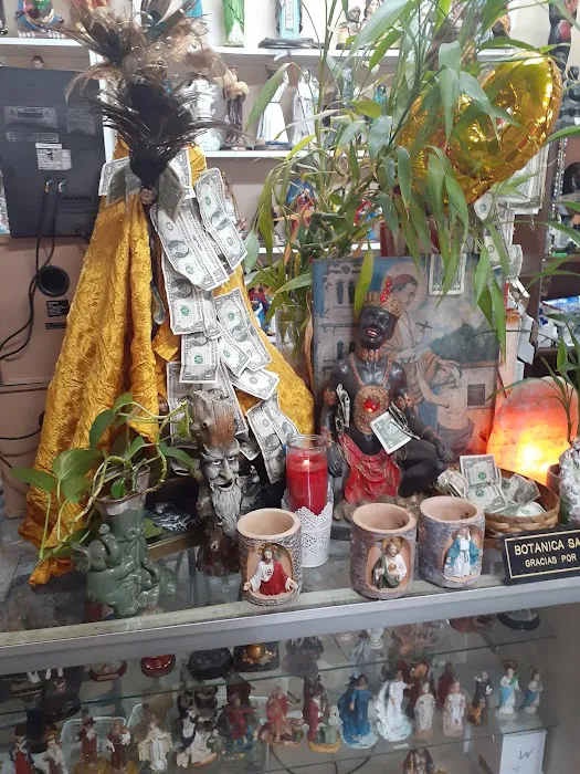 Botanica San Miguel 6