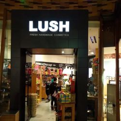 Lush Cosmetics Mohegan Sun ico