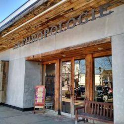 Anthropologie ico
