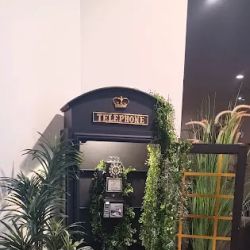 Scentique ico
