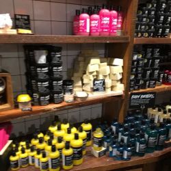 Lush Cosmetics Smith Haven Mall ico