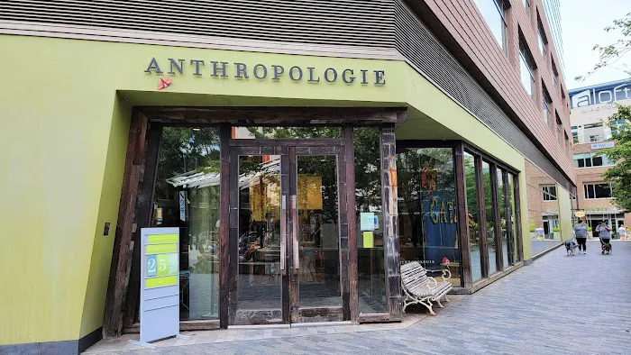 Anthropologie 0