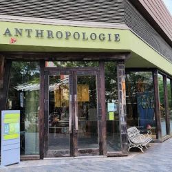 Anthropologie ico