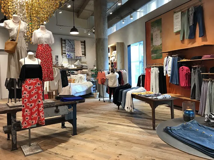 Anthropologie 2