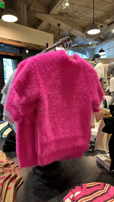 Anthropologie 5