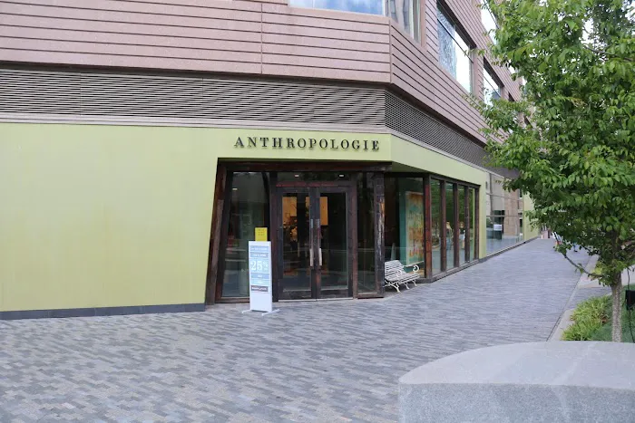 Anthropologie 6