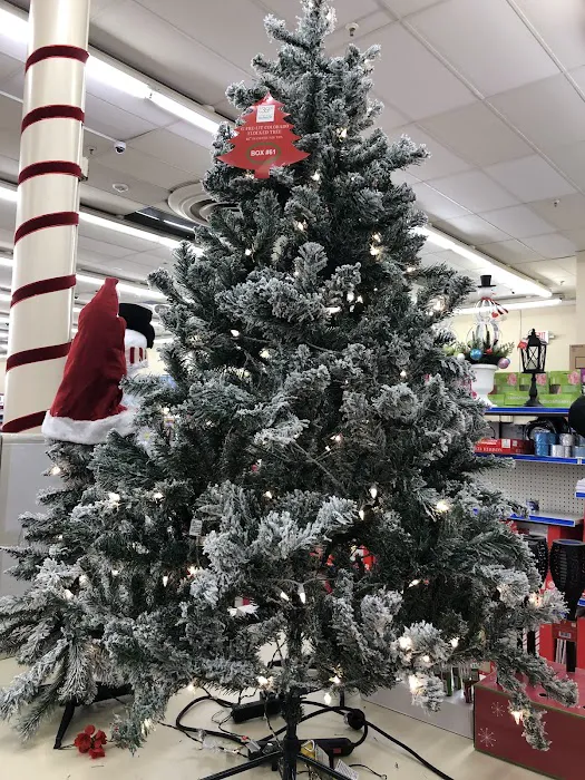 Roses Discount Store 2