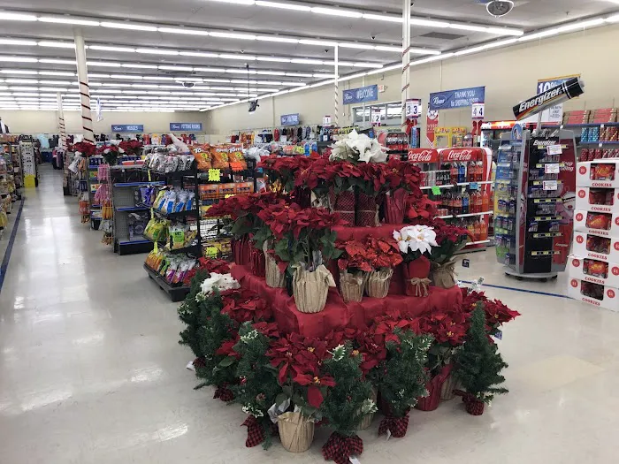 Roses Discount Store 1