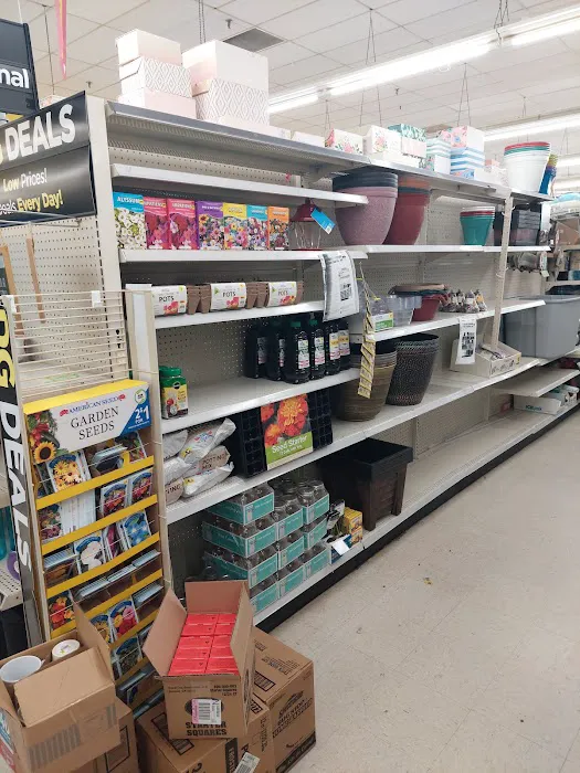 Dollar General 9