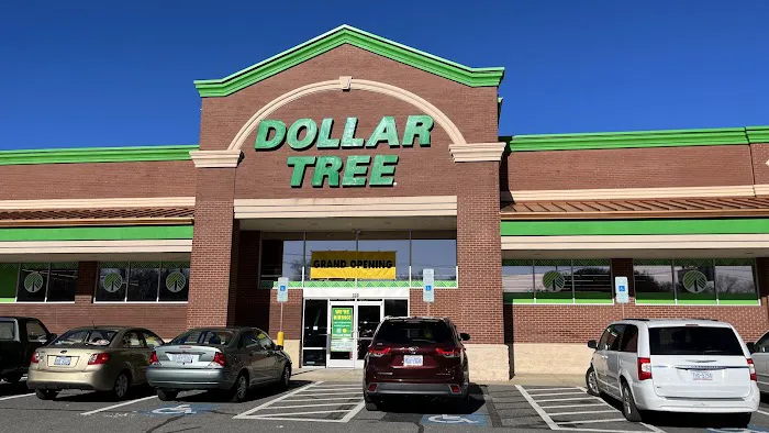 Dollar Tree 4
